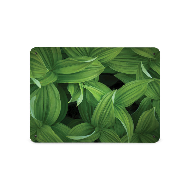 A medium magnetic notice board by Beyond the Fridge with a photograph of green leaves