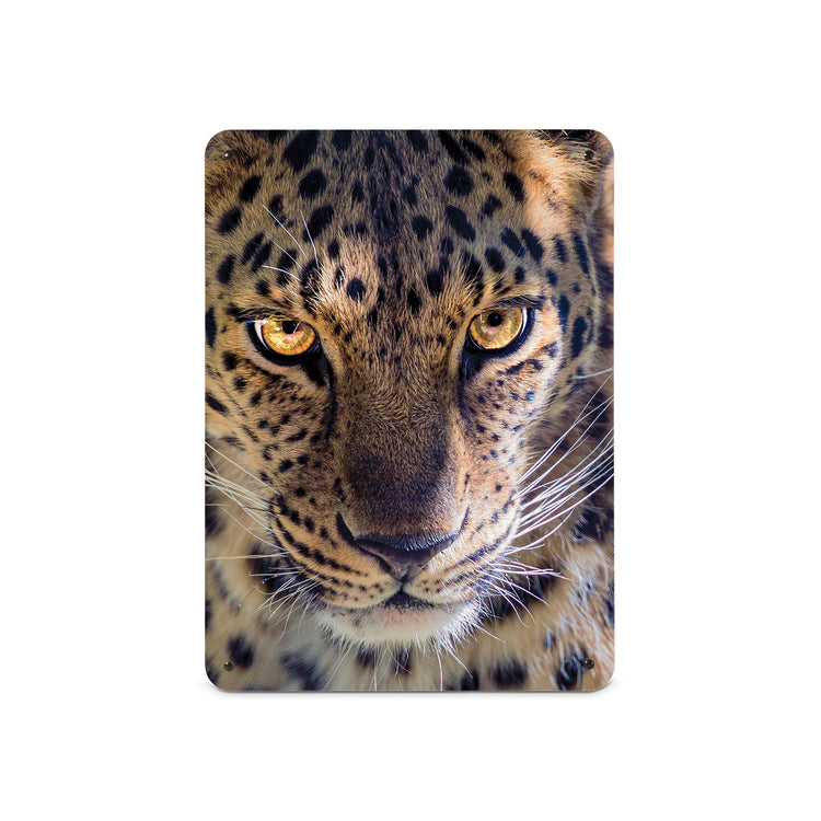 A medium magnetic notice board by Beyond the Fridge with a photograph of the face of a leopard in dappled sunlight