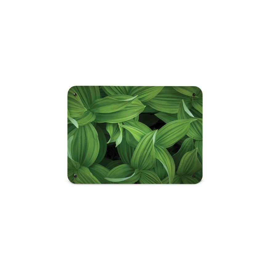 A small magnetic notice board by Beyond the Fridge with a photograph of green leaves