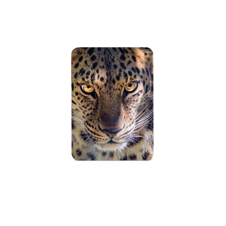 A small magnetic notice board by Beyond the Fridge with a photograph of the face of a leopard in dappled sunlight