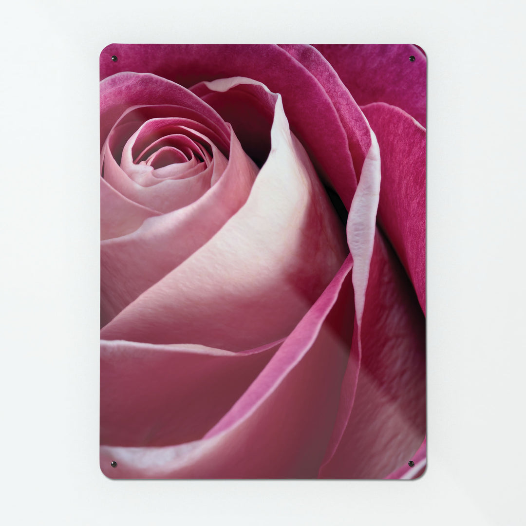 A large magnetic notice board by Beyond the Fridge with a photographic image of a pink rose