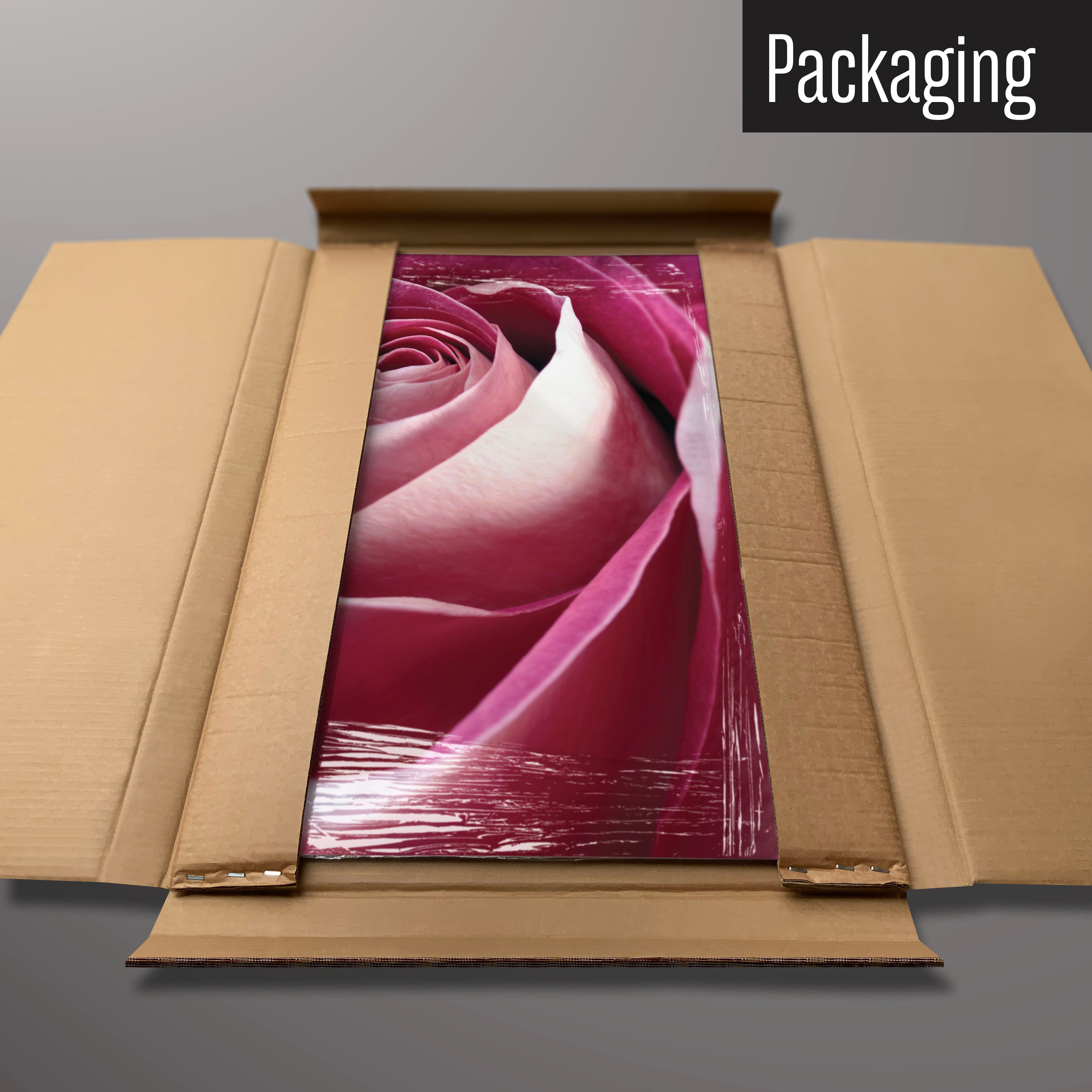A pink rose photographic magnetic board in it’s cardboard packaging