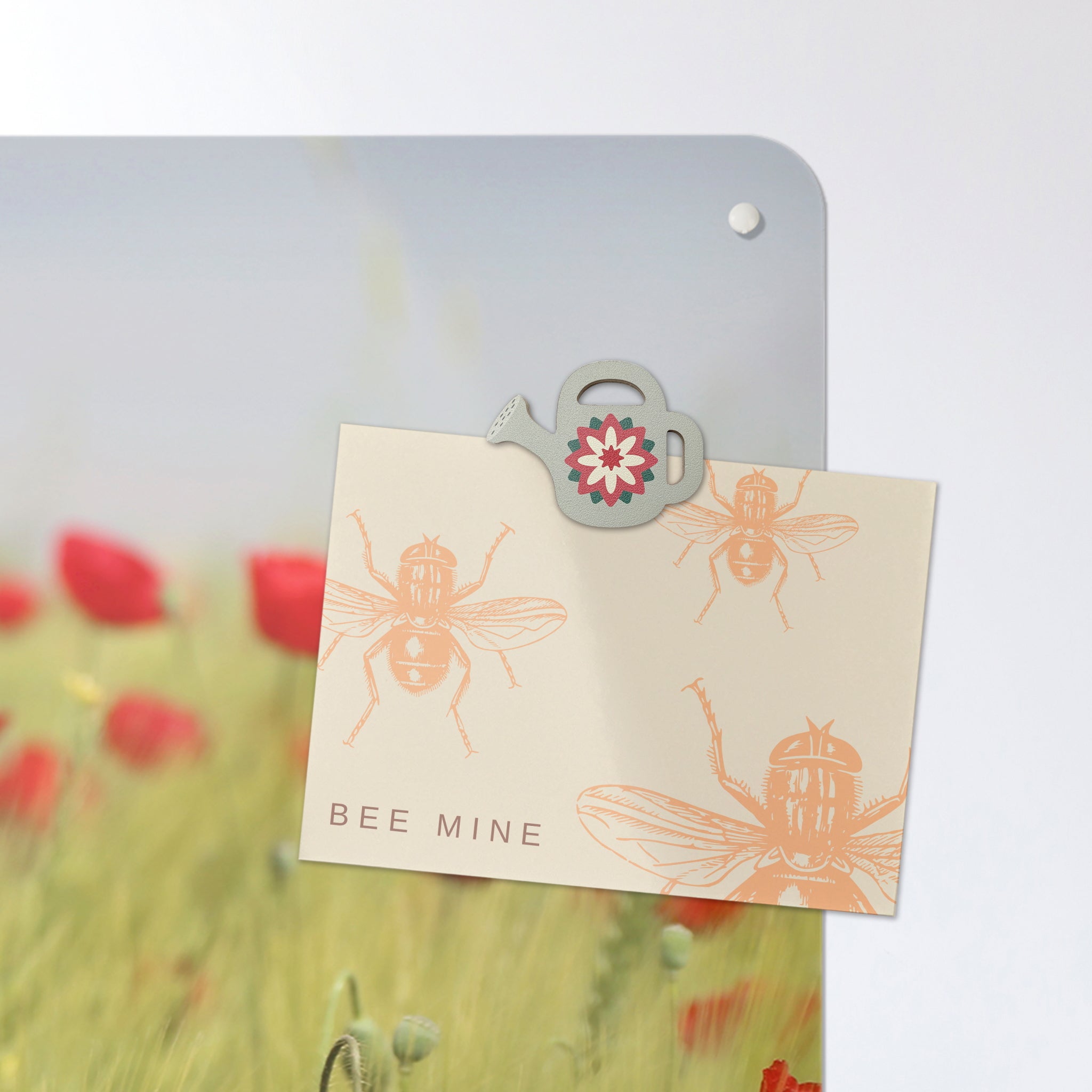 A postcard attached with a watering can design plywood fridge magnet on a poppy field photographic magnetic board or metal wall art panel
