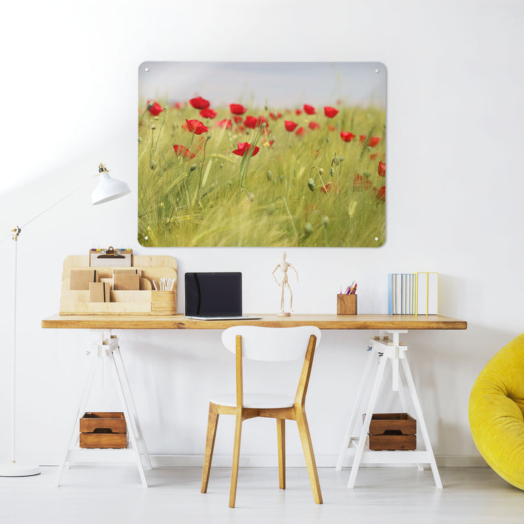 A desk in a workspace setting in a white interior with a magnetic metal wall art panel showing a photographic image of a poppy field
