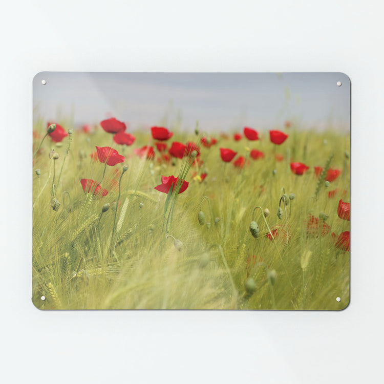 A large magnetic notice board by Beyond the Fridge with a photographic image of a poppy field