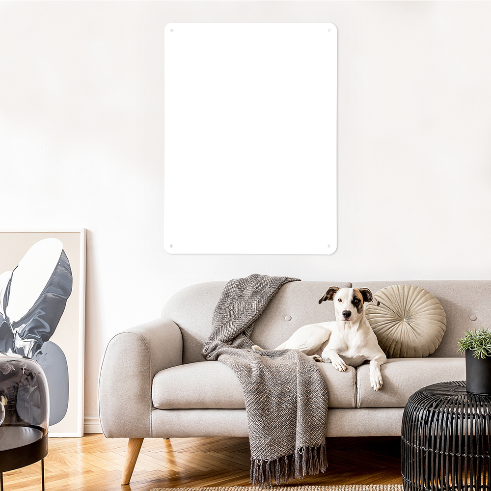 A blank portrait Create Your Own board on a living-room wall above a sofa, with a dog