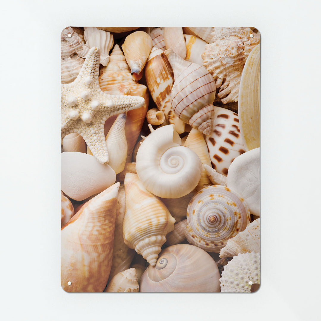 A large magnetic notice board by Beyond the Fridge with a photographic image of shells in cream and beige colours