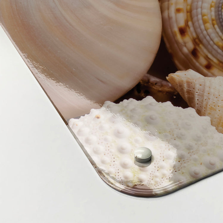 The corner detail of a shells photographic magnetic board to show it’s high gloss surface