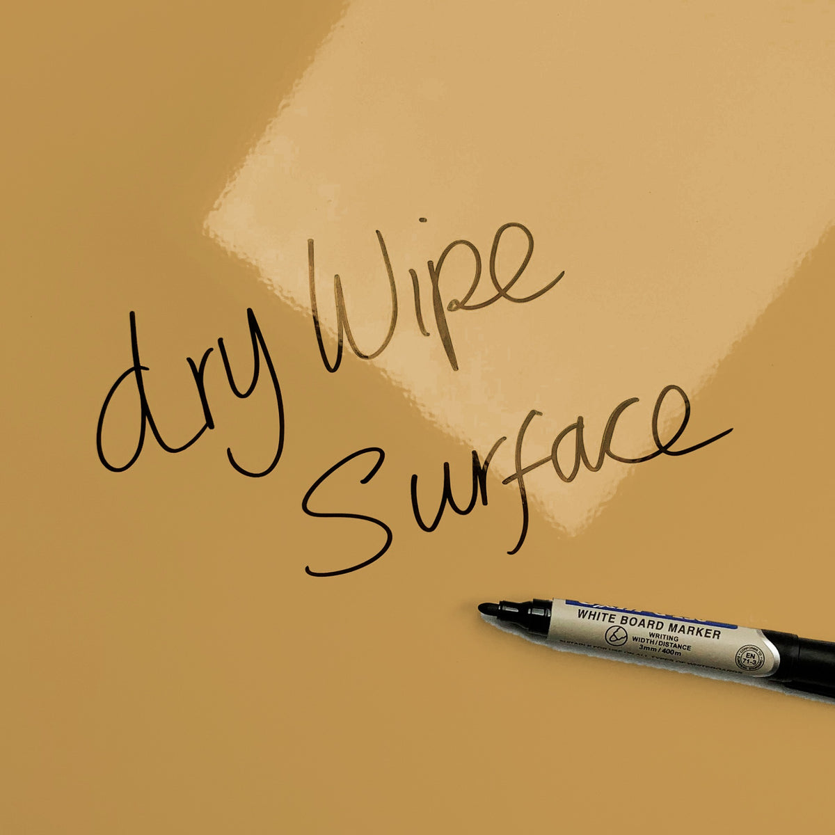 The words dry wipe surface written in marker pen on the Shoreline Shells magnetic notice board