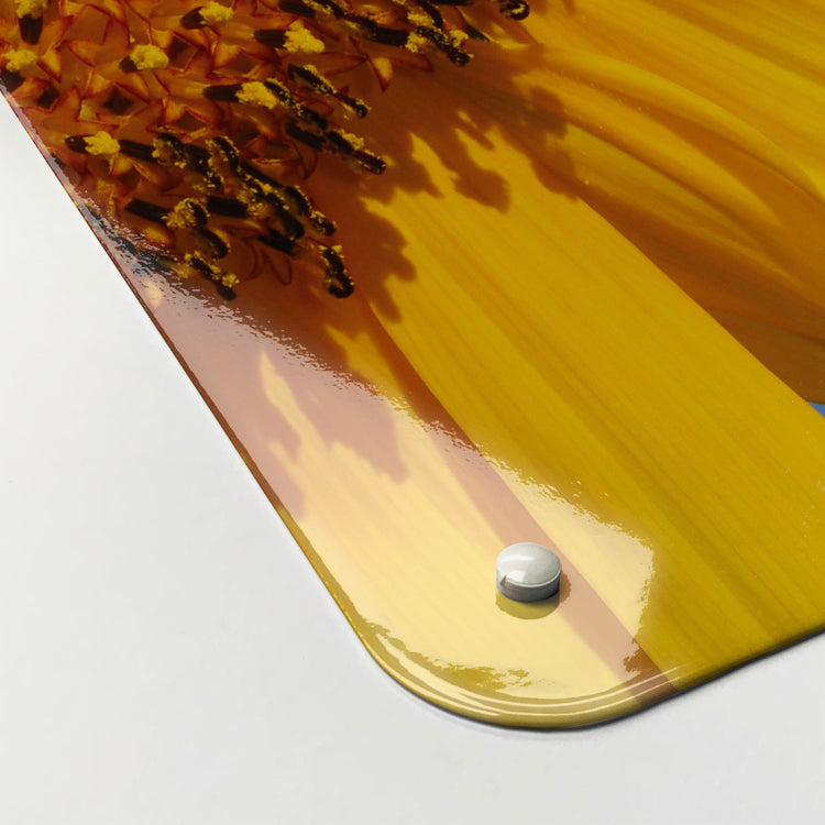 The corner detail of a sunflower photographic magnetic board to show it’s high gloss surface