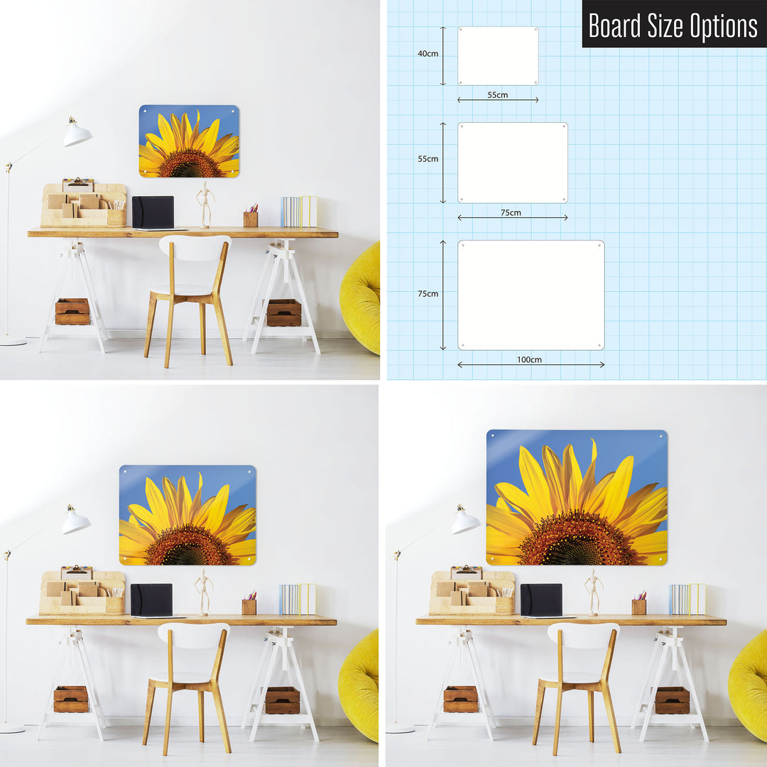 Three photographs of a workspace interior and a diagram to show size comparisons of a sunflower photographic magnetic notice board