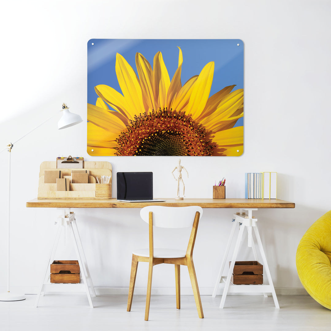 A desk in a workspace setting in a white interior with a magnetic metal wall art panel showing a photograph of a sunflower