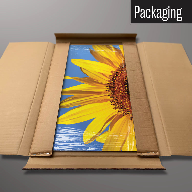 A sunflower photographic magnetic board in it’s cardboard packaging