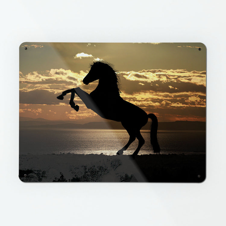 A large magnetic notice board by Beyond the Fridge with a  photograph of a rearing horse silhouette against a sunset background