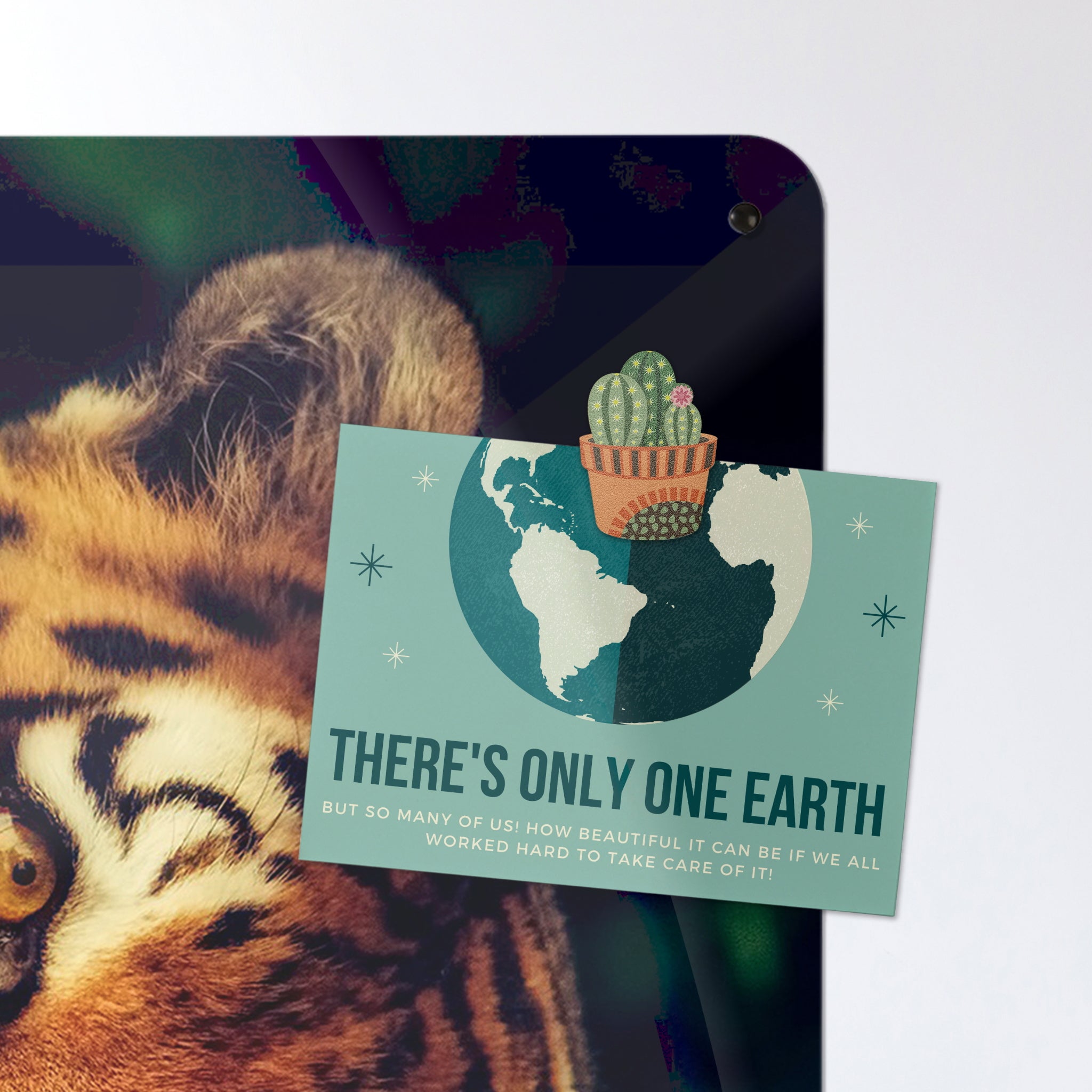 A postcard attached with a cactus design fridge magnet on a tiger photographic magnetic board or metal wall art panel