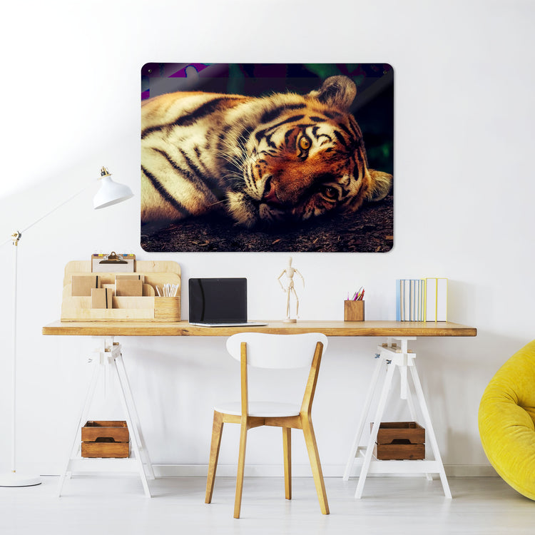 A desk in a workspace setting in a white interior with a magnetic metal wall art panel showing a photograph of a tiger lying down and a close up of the face