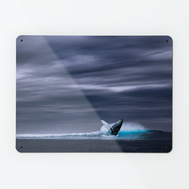 A large magnetic notice board by Beyond the Fridge with a photograph of a whale leaping out of the ocean