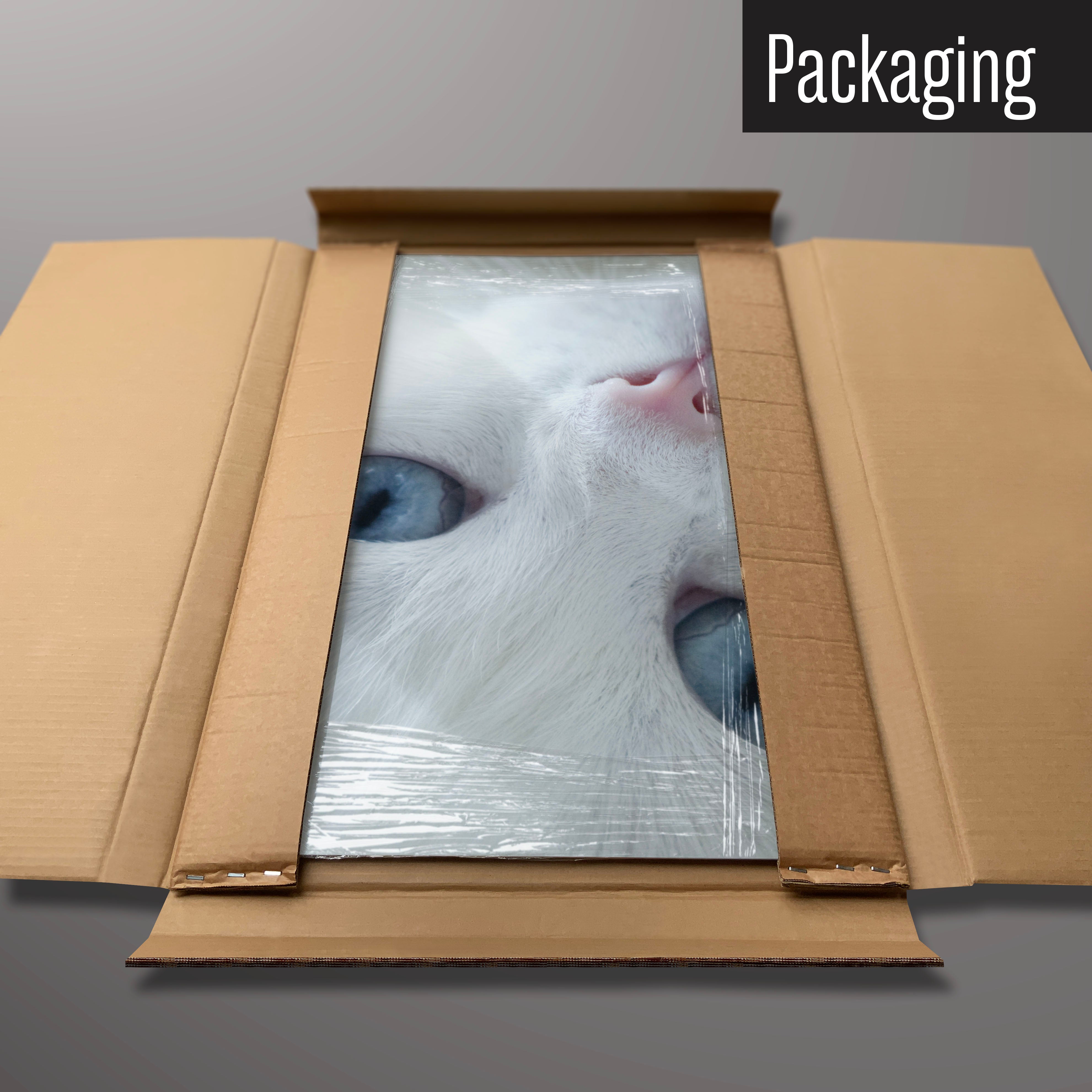 A white cat magnetic board in it’s cardboard packaging