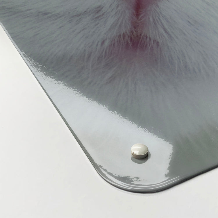 The corner detail of a white cat photographic magnetic board to show it’s high gloss surface
