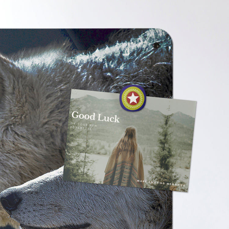 A postcard on a wolves under the moon photographic magnetic board or metal wall art panel
