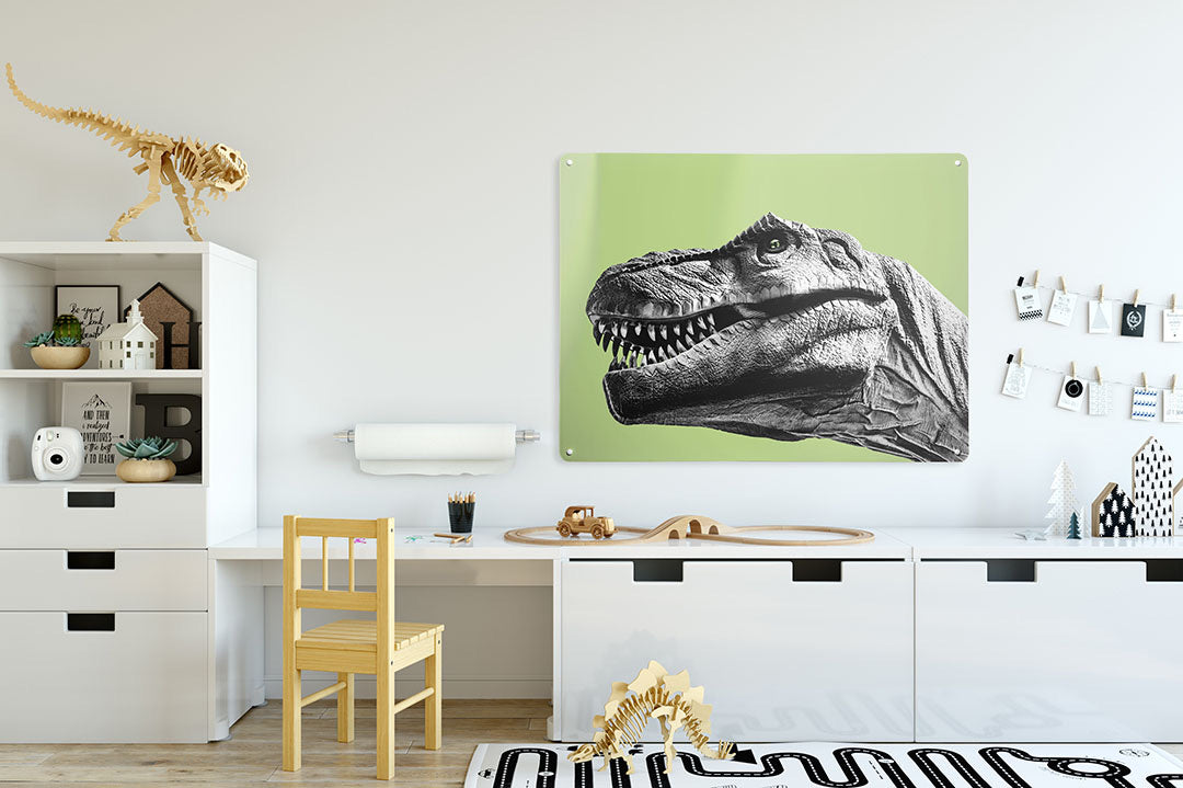 Tyrannosaurus magnetic board in a boy’s bedroom