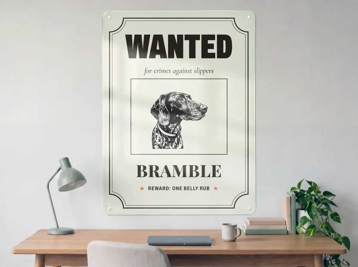 A Wanted poster board of Bramble, wanted for crimes against slippers, above a wooden desk.