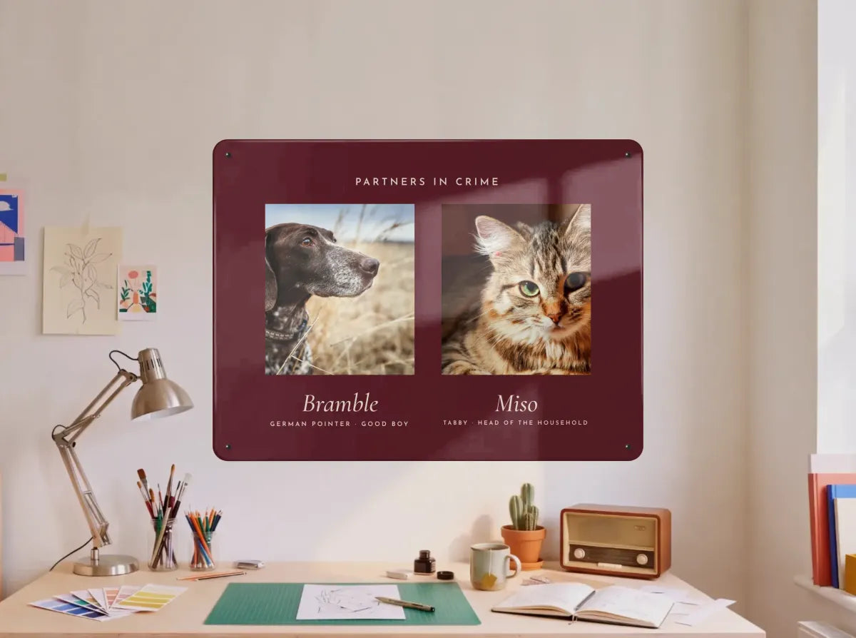 A studio desk below a burgundy Best friends board: Bramble the pointer and Miso the tabby, side by side.