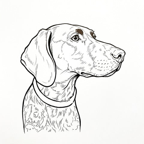 A dog portrait as line drawing